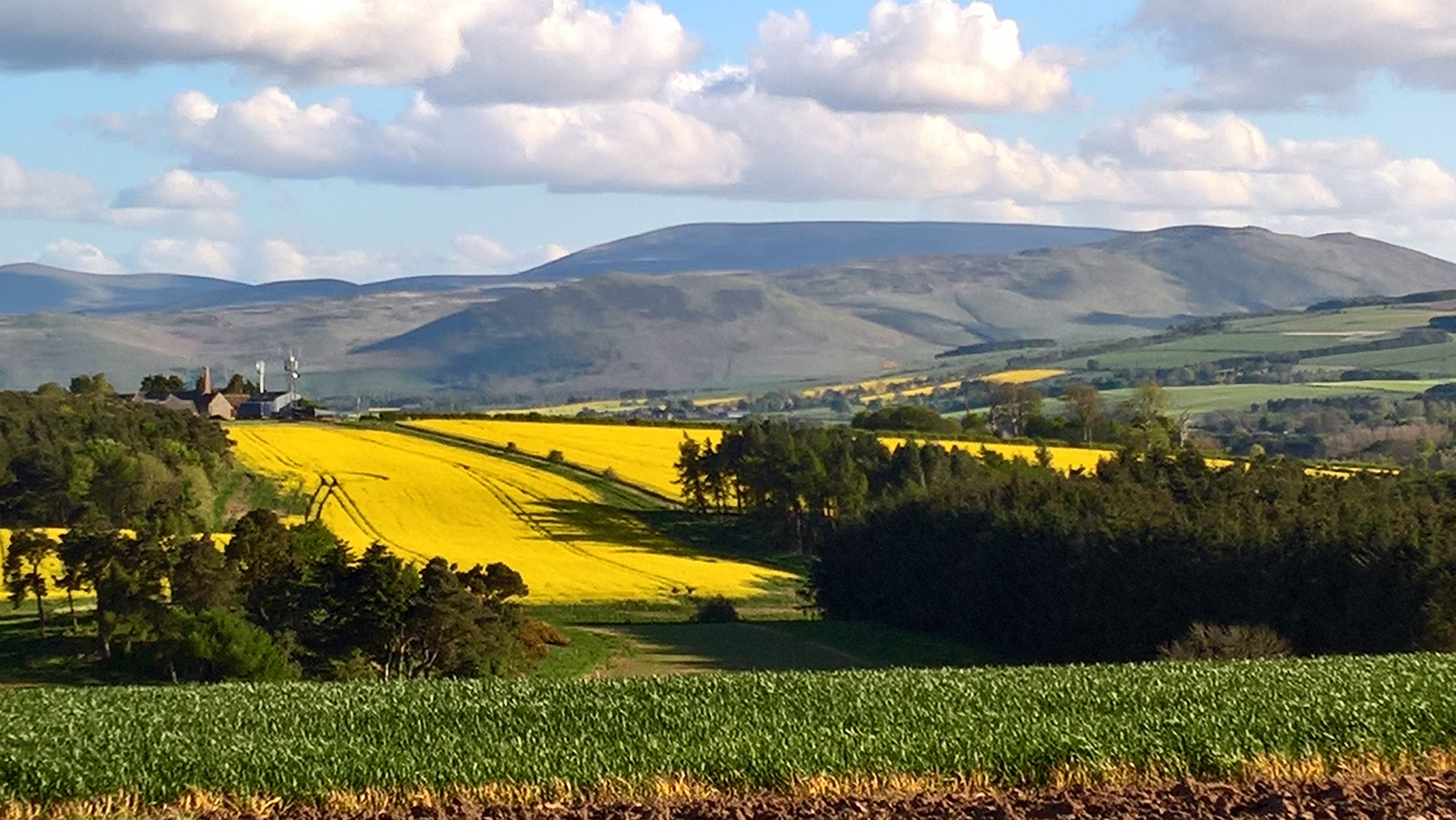 Hay Farm Bed and Breakfast in North Northumberland